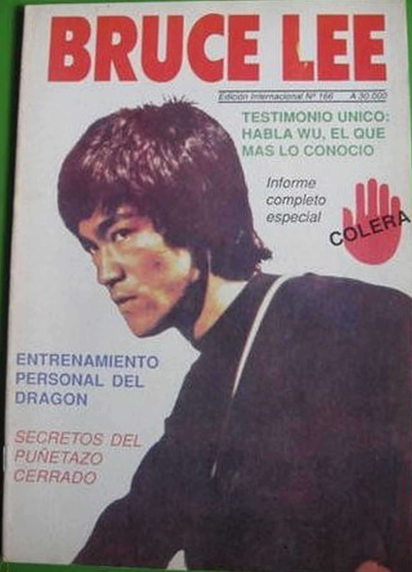 BRUCE LEE magazine side cover Issue 166  January 1991